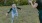 a person and a child playing with bubbles in a park